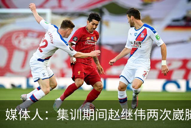 媒体人：集训期间赵继伟两次崴脚 大秋三宁李弘权高诗岩也都带伤